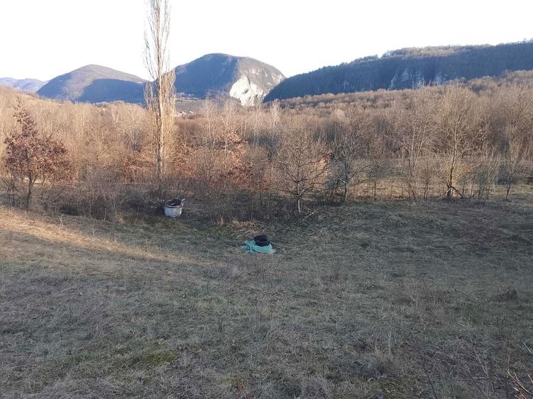 Teren pentru Casa de Vacanta - 2