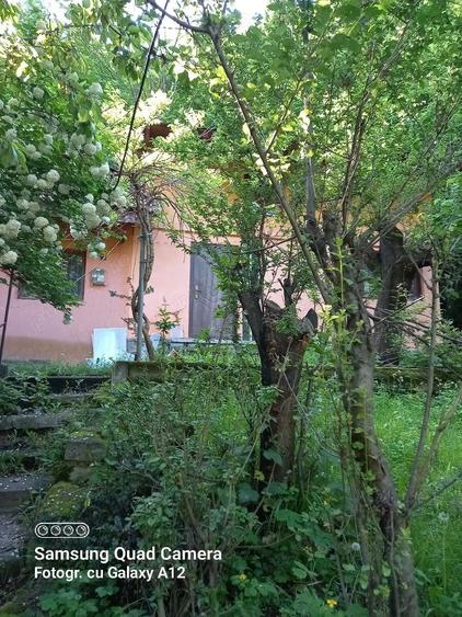 Vind casa la munte - 1