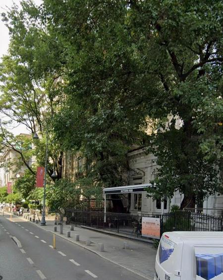 Spatiu comercial 300 mp terasa 100 mp pe Calea Victoriei - 1