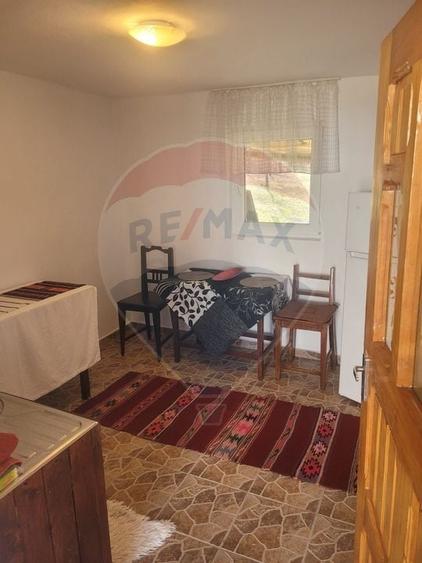 Vânzare casa la munte - zona turistica - Baia de Fier - 16