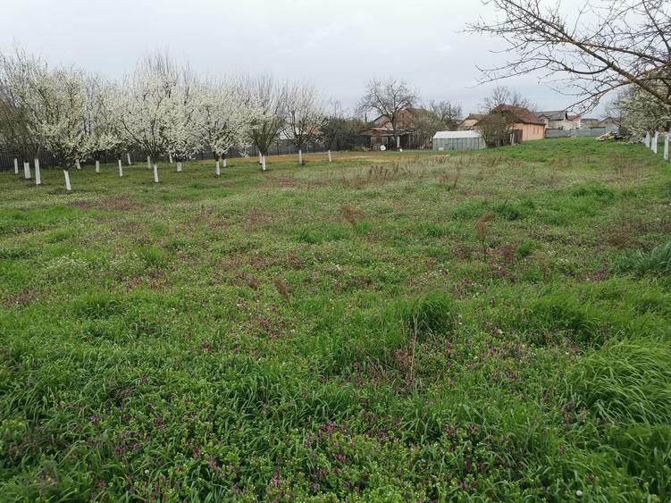 Vand teren intravilan - 7