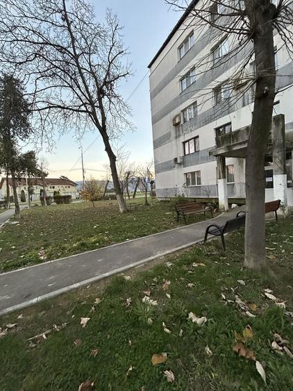 Vand garsoniera la parter Faleza Orsova, zona Evantai - 1