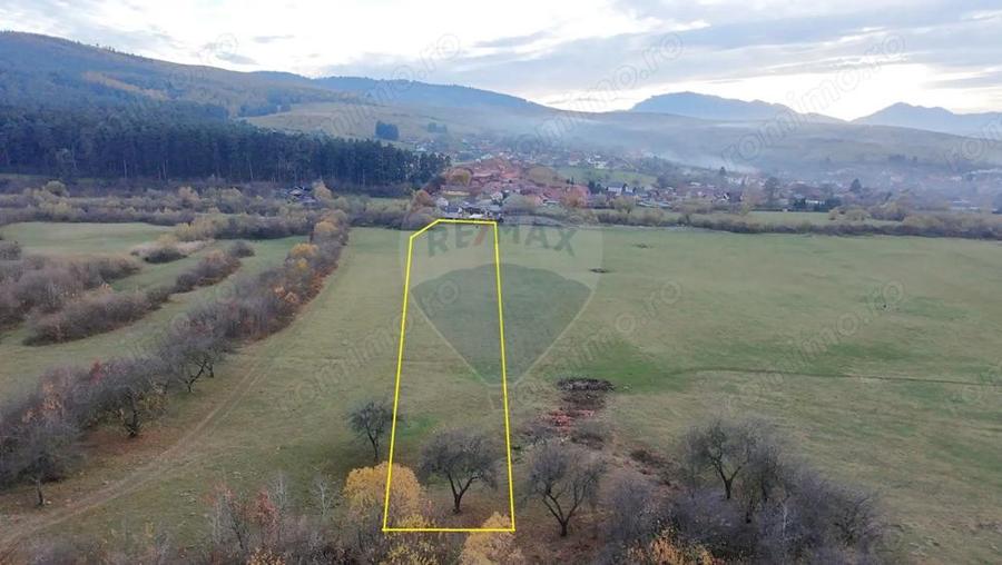 Teren 5.800 mp Purcareni curent, gaz, apa / Strada 30 decembrie - 5