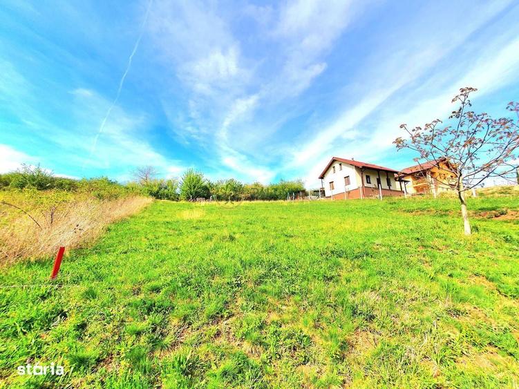 Teren Intravilan 708 mp cu PUZ Aprobat si autorizatie de constructie! - 3