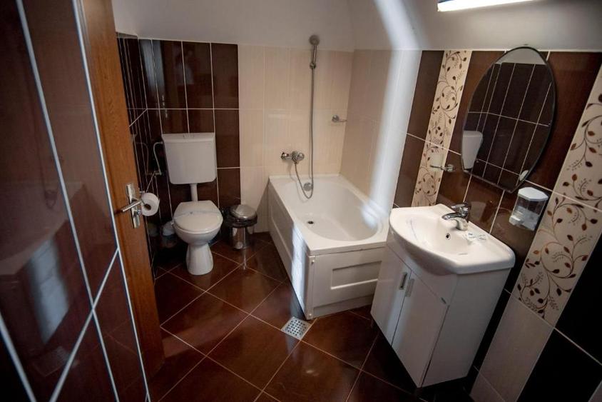 Vanzare Vila Panseluta - Pensiune/Vila turistica deosebita Pucioasa - 13