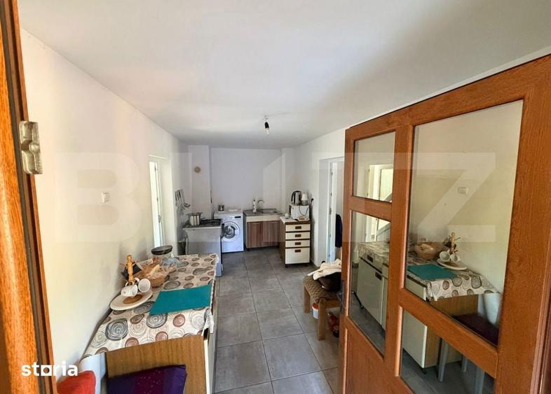 Casa individuala, 148 mp, 2451 teren, sat Boian-Ceanu Mare - 13