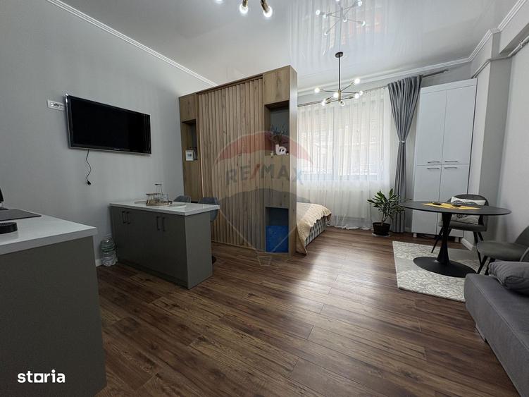 Apartament in zona Hanul cu Pe?te - ?tefan Building Lake II - 5