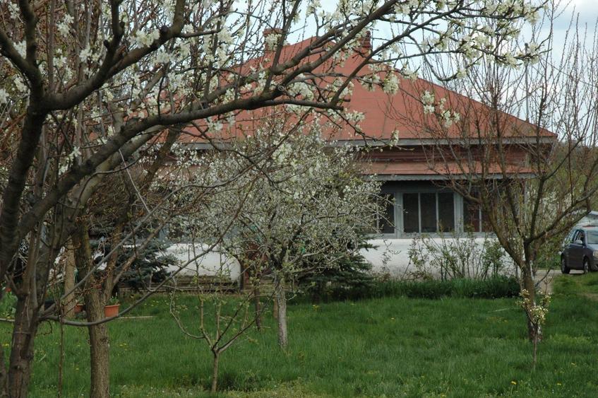 Casa Ciolpani, km 35 - 6