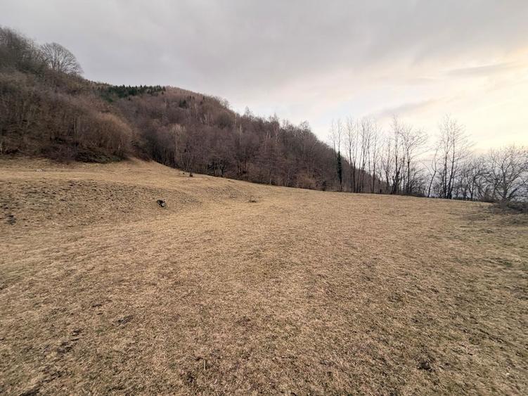 Vand Teren Valea Streiului ! - 8