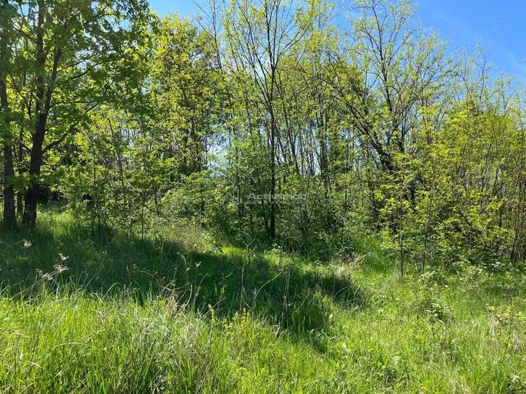 Lugoj Teren 5.300 Mp., Dealul Viilor, Priveliste Impresionanta - 8