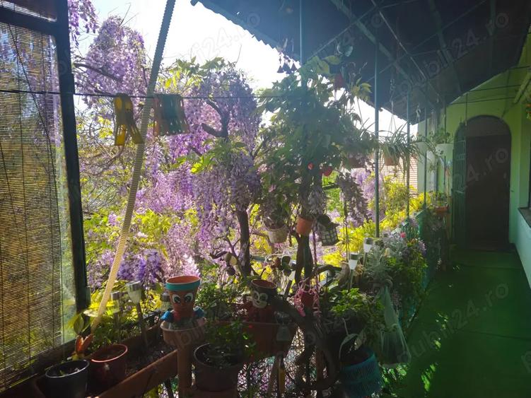 Vand apartament 4 camere ultra central direct proprietar - 2