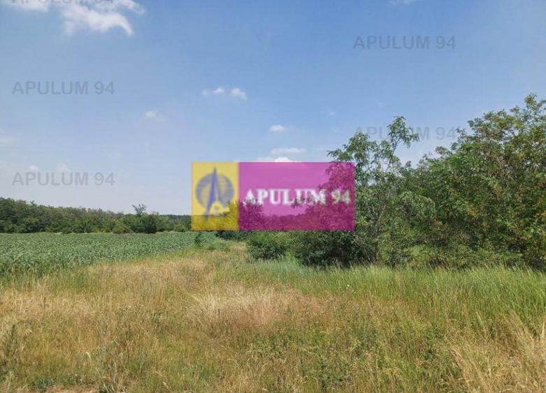 Săbăreni, teren 12620 mp pentru case, lângă pădure - 2