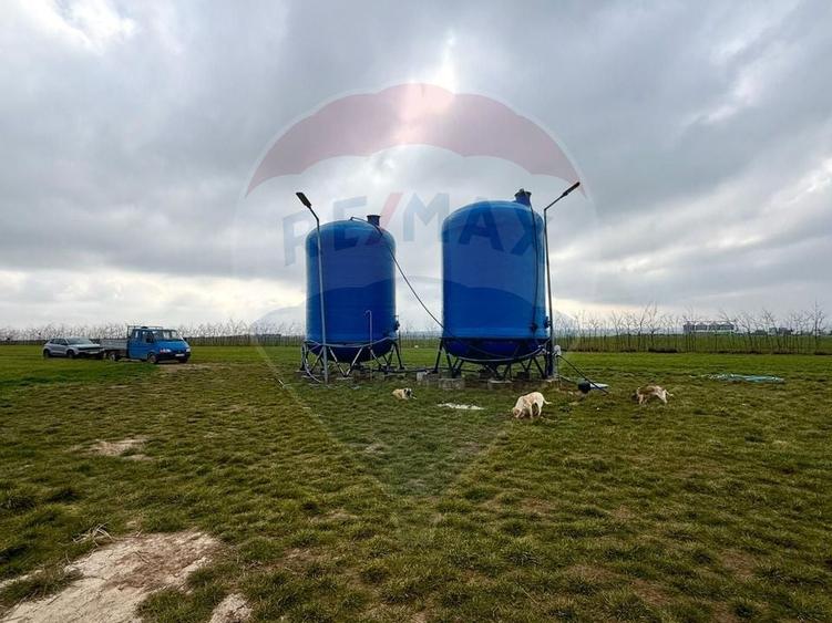 Teren extravilan Săcele ideal pentru silozuri, fermă sau investiție - 3