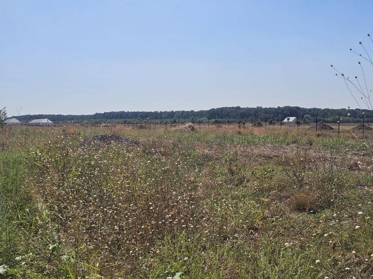 Teren în rate la dezvoltator | toate utilitatile | Acces A0 și DN1 - 3