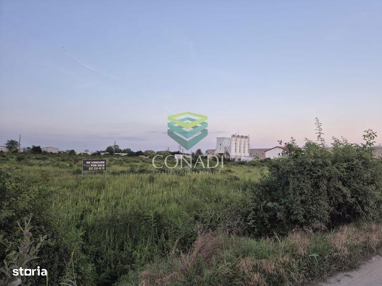 Teren industrial de vanzare in Clinceni 23.943 mp | Langa Centura - 3