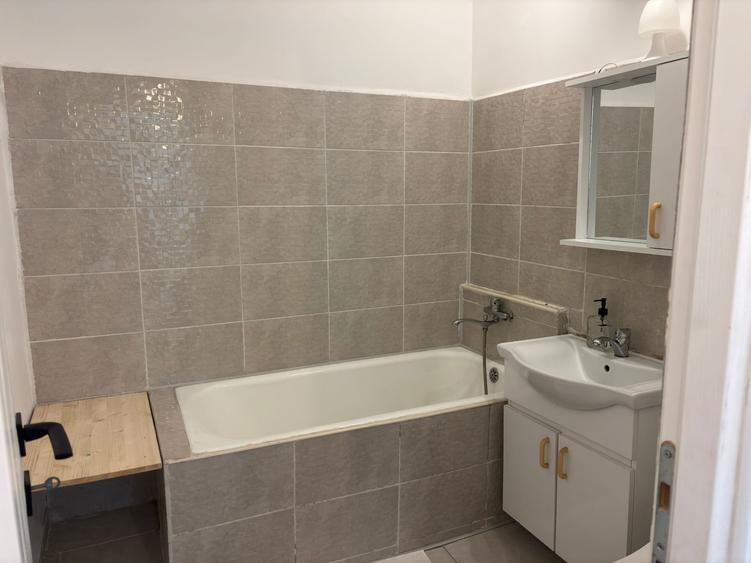 Apartament 2 camere, Teiul Dosmnei - 13