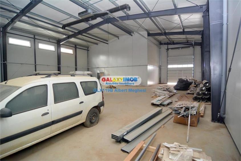 Inchiriere hala 572 mp Chiajna - 17