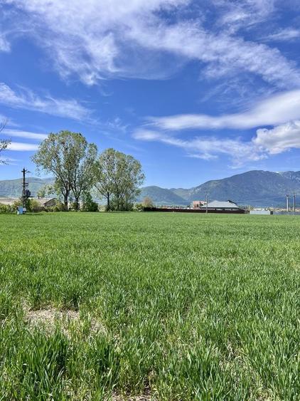 Teren de vanzare Brasov | Intravilan | Zarnesti 1150m2 - 1