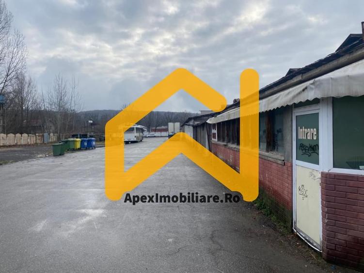 Hale Industriale de Vânzare Baicoi – 1100 mp + 800 mp, teren 5500 mp - 8