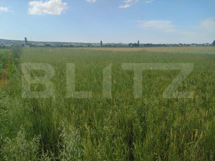 Teren extravilan, 2427 mp, Horodnic de Sus - 1