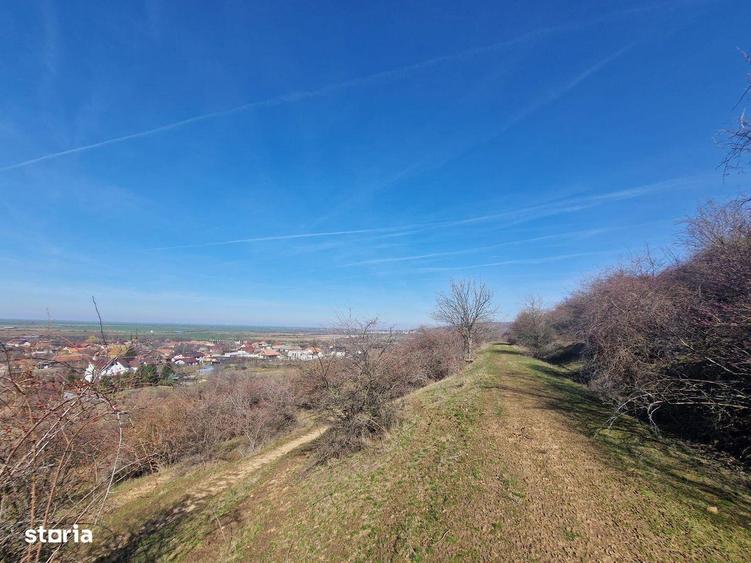 Teren extravilan, zona si priveliste superba, Cuvin - 6