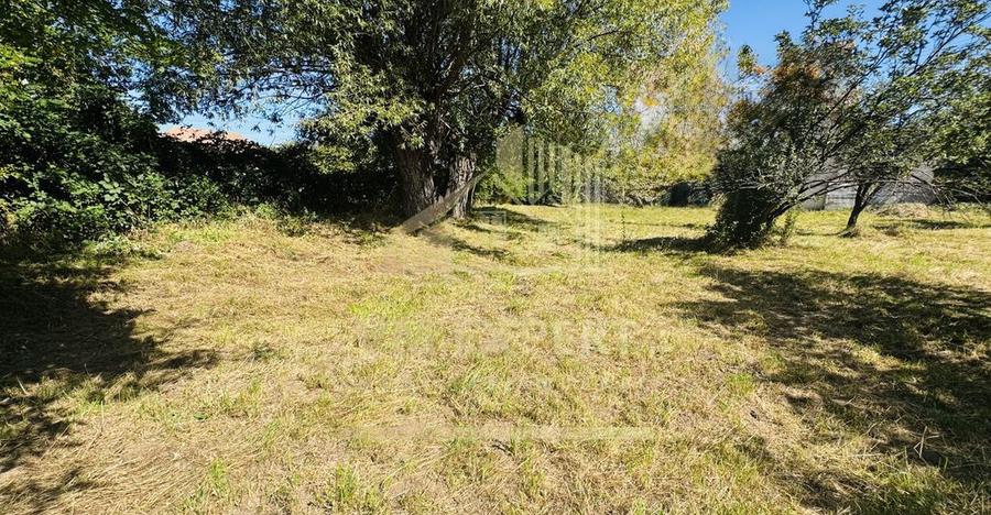 TEREN INTRAVILAN 3234 MP LERE?TI VOINE?TI ARGE? - 8