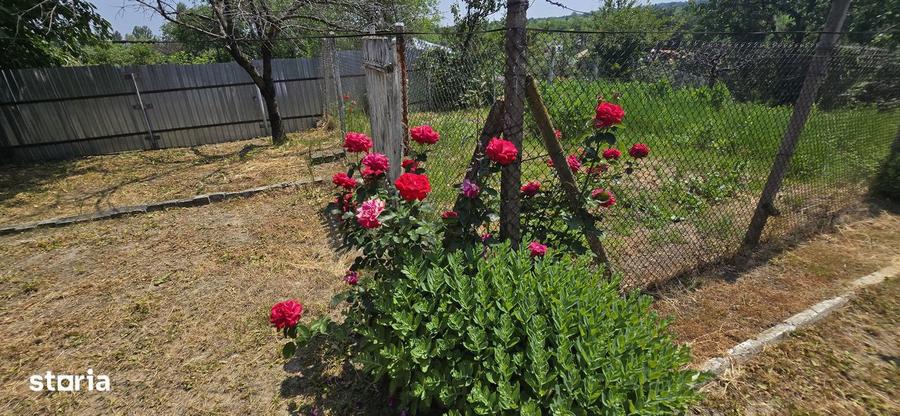 Casa cu 5 camere, curte ?i pivni?a, 35000 EUR - 10