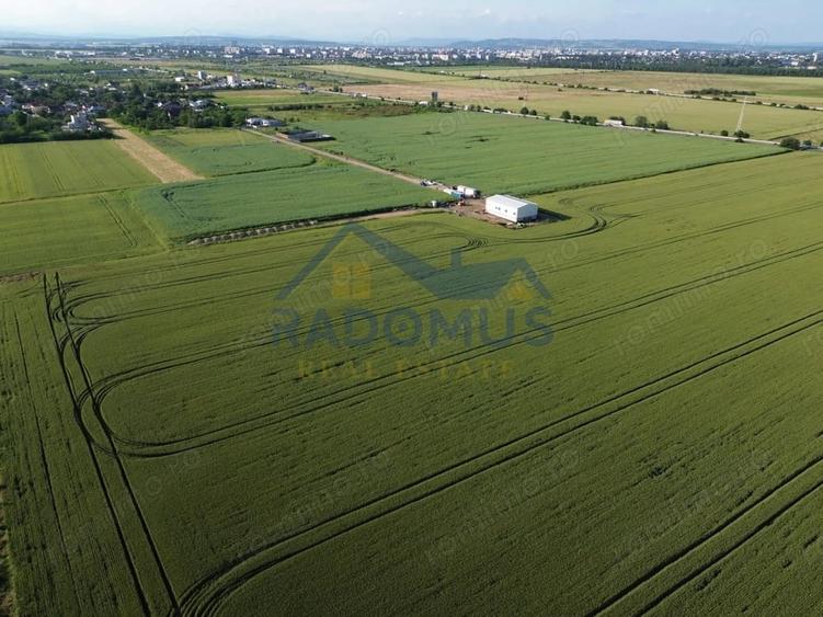 Teren de 10000 mp, în Vest
