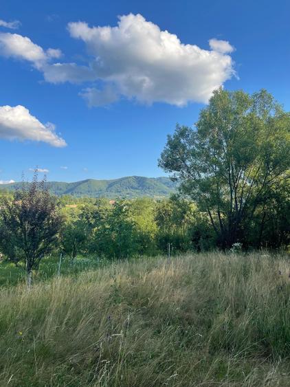 Teren de 7287 mp, în Central