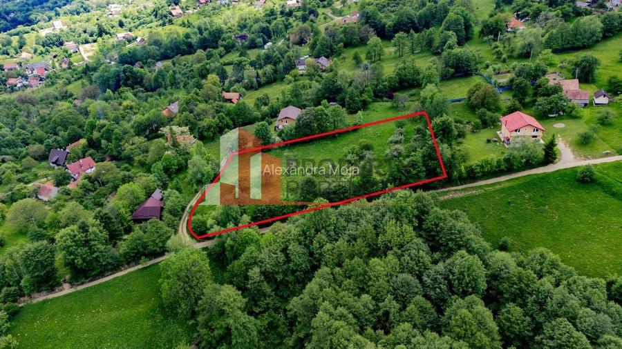 Teren Construcții intravilan de 6273 mp, în Bran