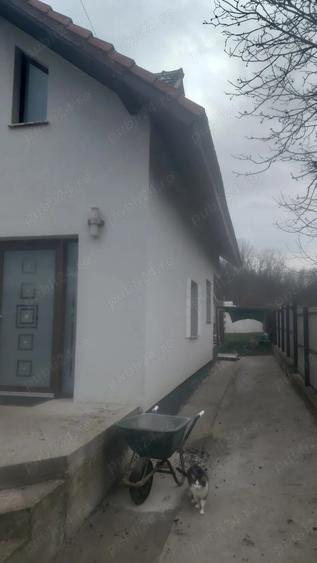 Vand in Jud Olt,Colone?ti casa ?i teren - 2