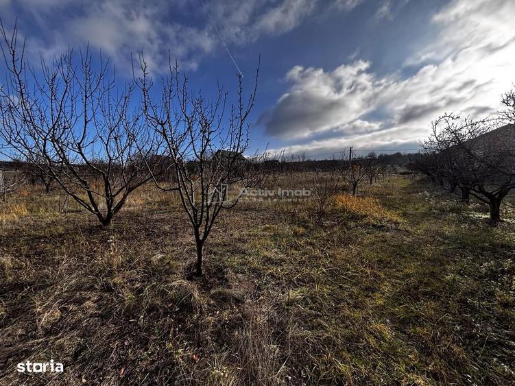 Teren Intravilan Str Livezilor - 5