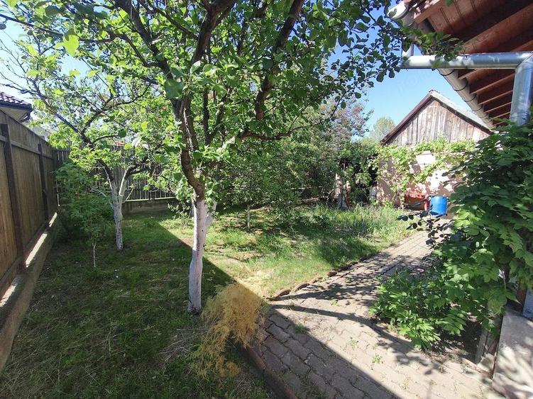 Dumbravita casa individuala 115000 euro - 15