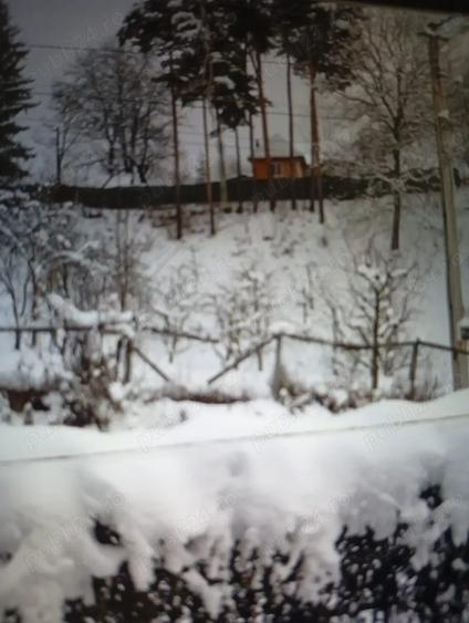 imobiliare CASA TEREN - 2