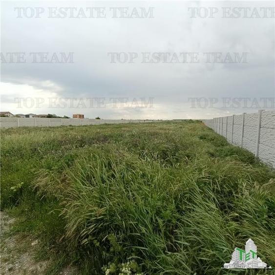 Teren intravilan 5280 mp de vanzare/ Bragadiru - 3