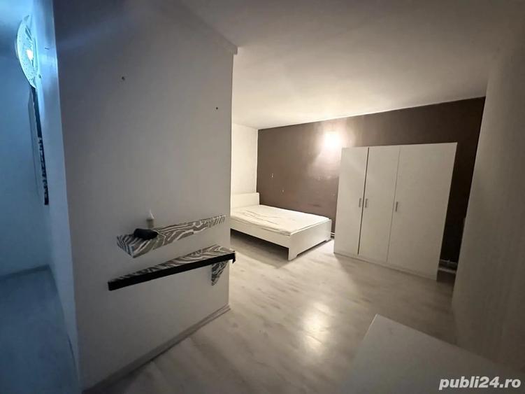 Vila in zona centrala, Pisica Alba - 2