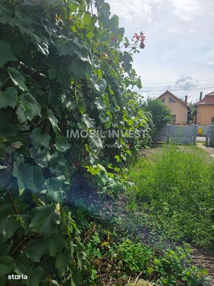 Oferta Casa 100Mp, 3 Camere,2 Pivnite,Garaj, Teren 1318, Pret 52.000E - 3