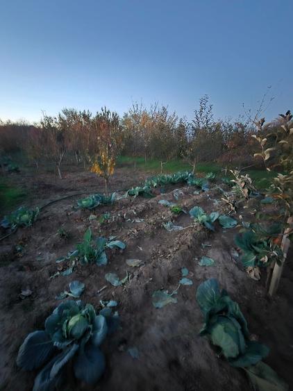 Vând casă Varlaam Giurgiu  - 9