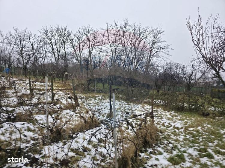 Teren intravilan 4,516mp Doina - 13