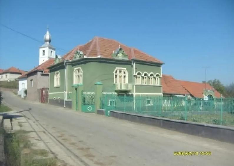 Proprietate de vanzare Silvasu de sus(Hateg) la 3 km de manastirea Prislop(Arsenie Boca) - 3