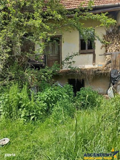 Domeniu verde autentic, +5.000mp, front la DJ, Valcele, Brasov -- Cov - 3