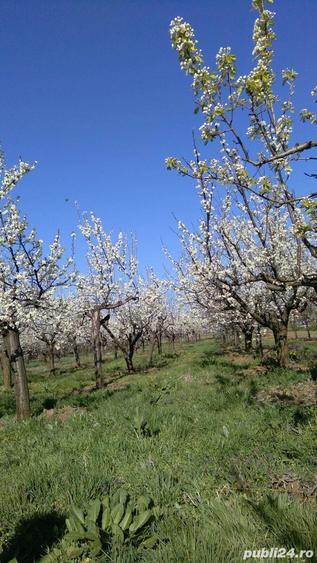 casa la 13km de Slatina - 2