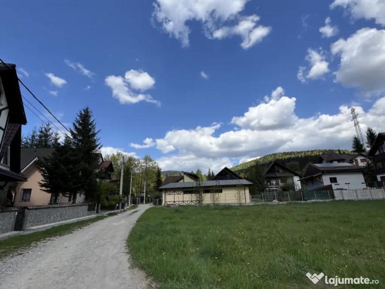 Teren 1407 mp Poiana Tapului. Vedere Bucegi .Tripla Deschide - 3