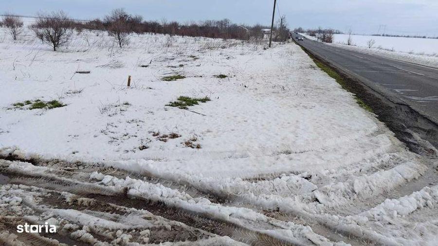 INCHIRIEZ teren in Frumusani - 4