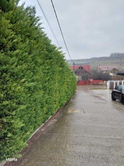 Teren Bucium 3 min de Hanul 3 sarmale, la Soseaua Barnova - PROPRIETAR - 8