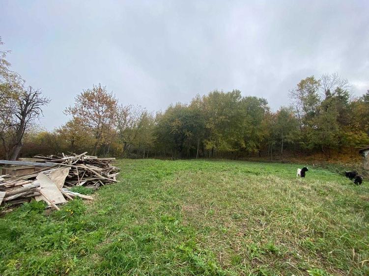 teren cu utilitati - 1