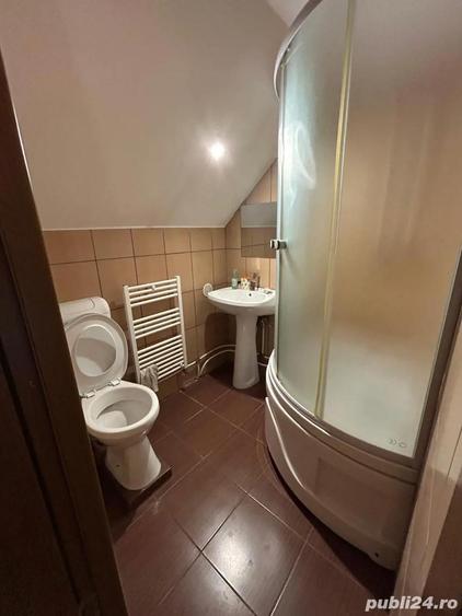 Vand cabana casa locuit Marisel - 10