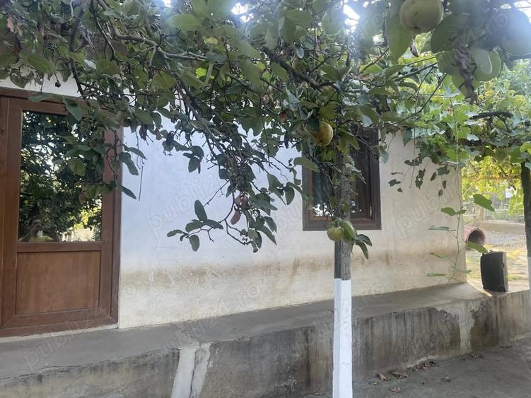 Casă cu 2 camere cu Teren 5500 Mp în Pogana