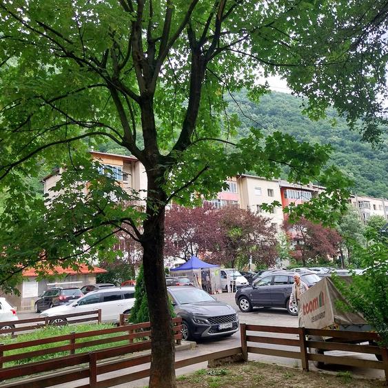 Vind Ap.2 camere parter piata cu privire la padure.Ap.e pe col?.Bun pt.cabinet,birou Notariat s.a. - 3