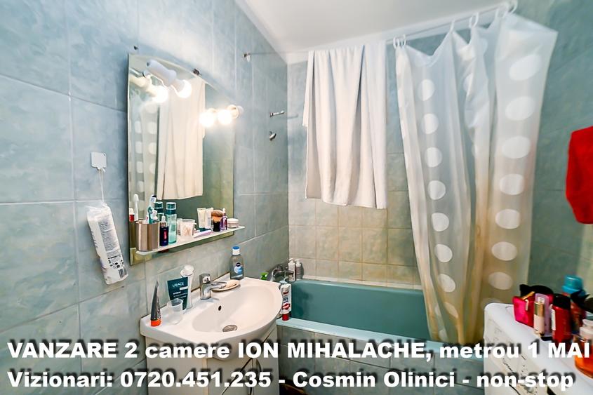 Ion Mihalache - 14